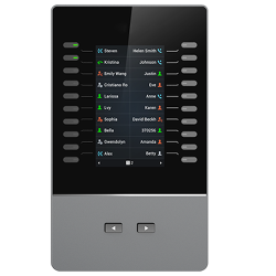 MODULE GRANDSTREAM GBX20