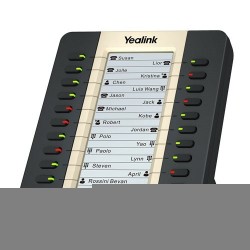 MODULE YEALINK EXP20