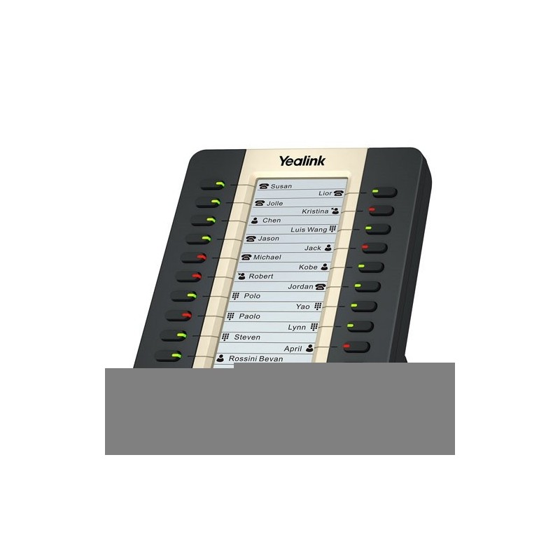 MODULE YEALINK EXP20