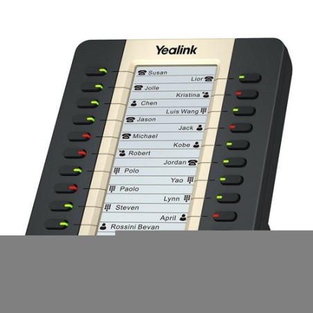 MODULE YEALINK EXP20