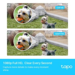 CAMERA TPLINK TAPO C400S2