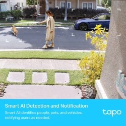 CAMERA TPLINK TAPO C420S2