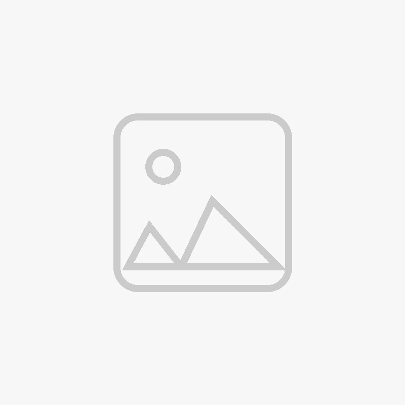 Caméra PTZ IP Hikvision DS-2DE425MWG-E/14 4MP